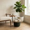CESTO_ALCA_VERDE_P_TUUT -3-
